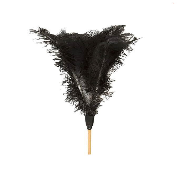 Feather Duster Long