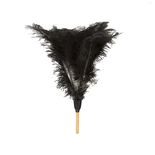 Feather Duster Long